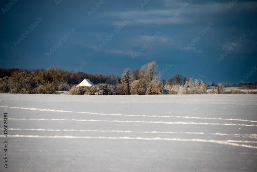 Fototapeta premium cold morning in the field in winter