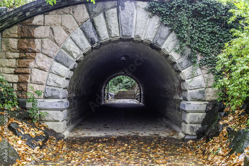 Inscope tunnel Central Park, New York City