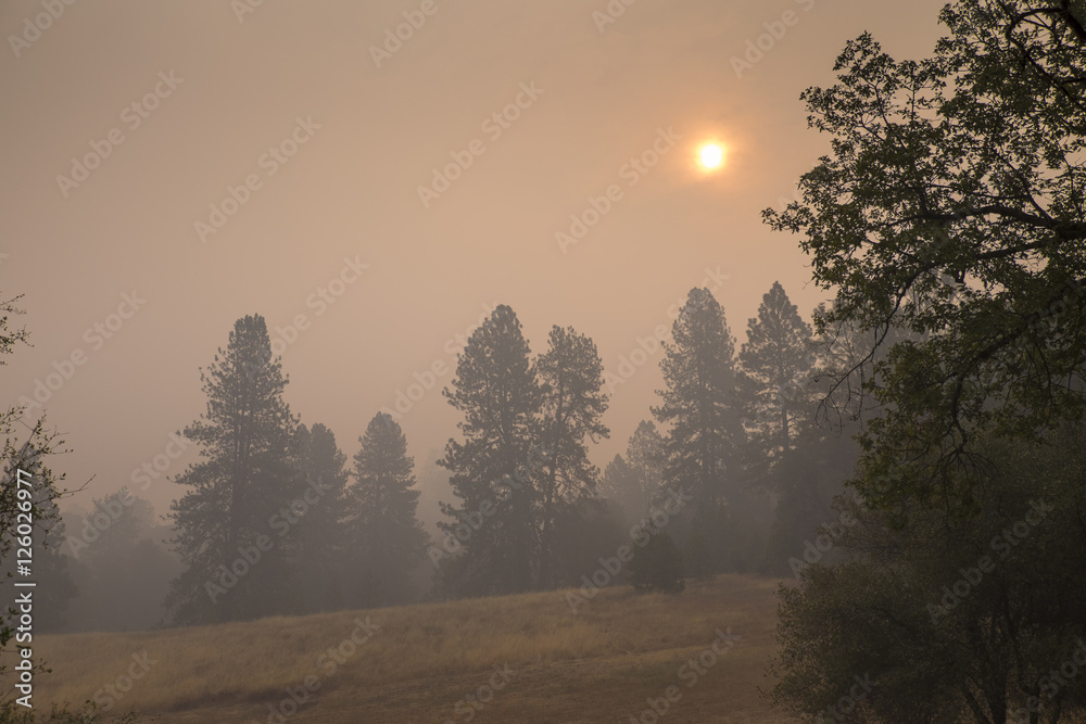 Smoke from Forest Fire Smoke from Forest Fire