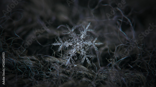 Snowflake glowing on dark gray wool background. This is macro photo of real snow crystal: large stellar dendrite with big central hexagon and six ornate arms with side branches. Horizontal version.
