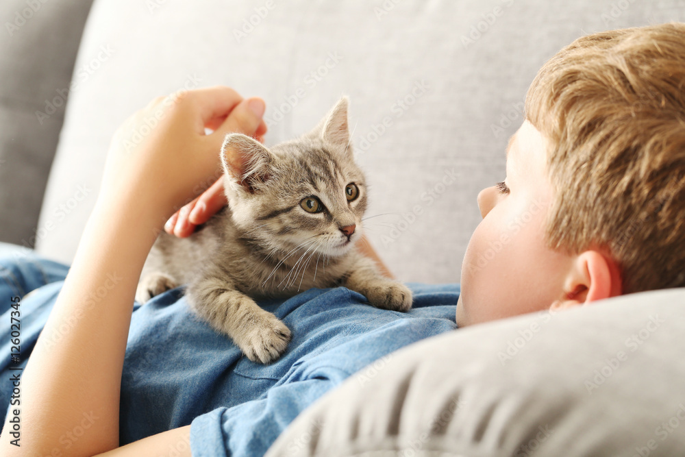 Child with kitten on grey sofa at home Child with kitten on grey sofa at home
