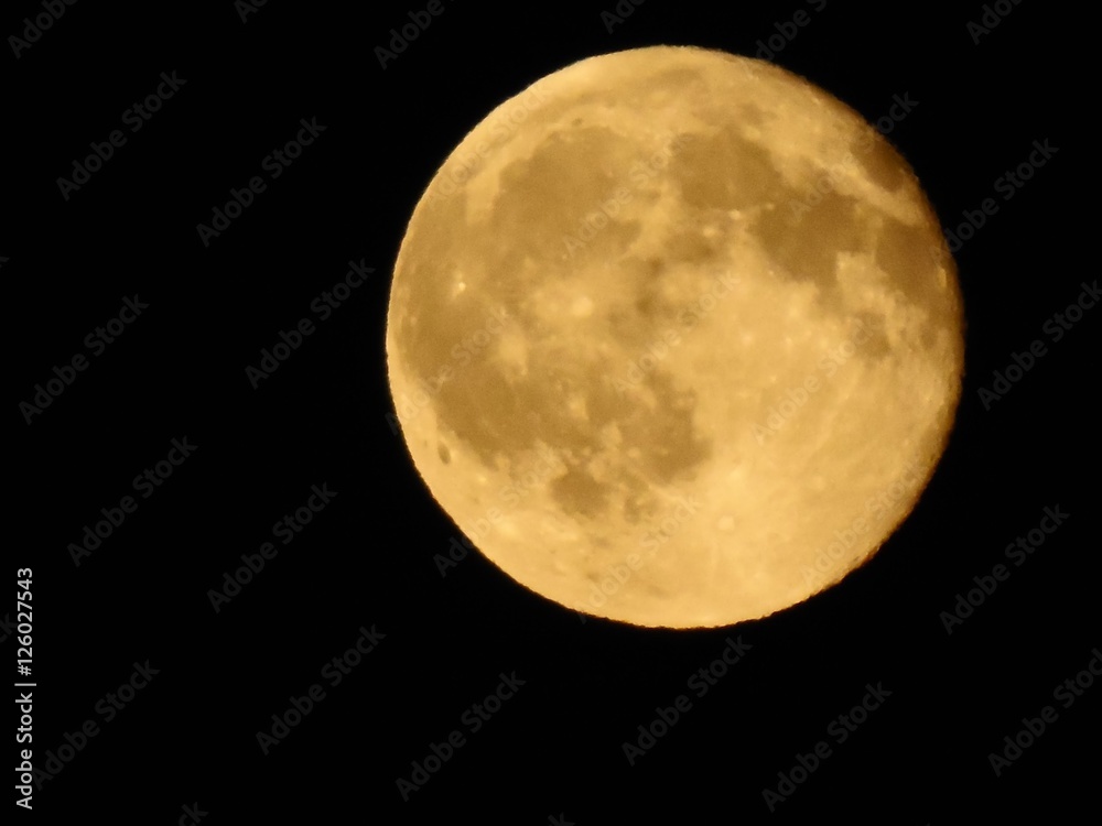 Orange Moon Orange Moon