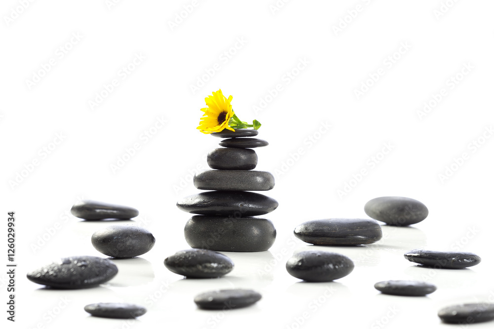 Spa stones and calendula, isolated on white