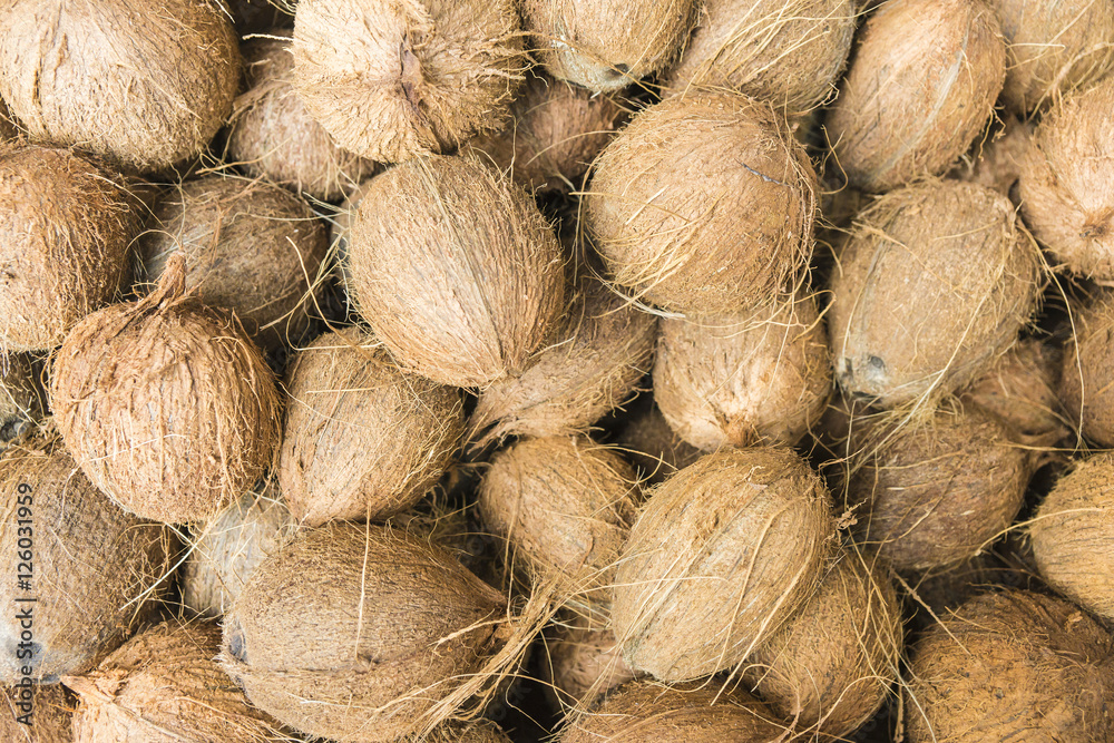 Kokosnüsse_2 Kokosnüsse_2