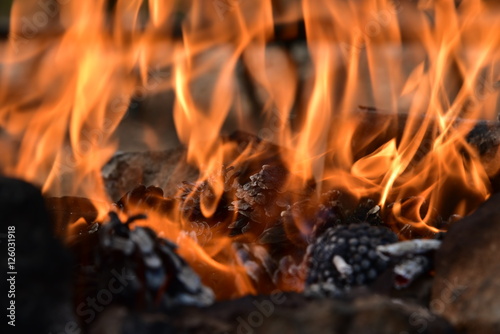 Close up on a fire with pine cones © zilber42