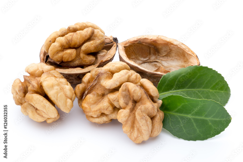 Walnut and walnut kernel isolated on the white background. Walnut and walnut kernel isolated on the white background.