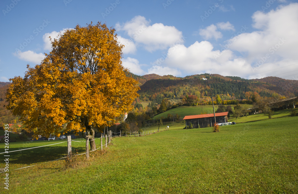 Autumn in Tuhinj, Kamnik, Slovenia Autumn in Tuhinj, Kamnik, Slovenia