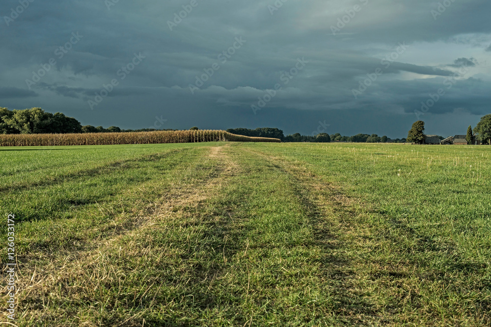 Trail towards corn field. Dutch farmland with dark sky. Geestere Trail towards corn field. Dutch farmland with dark sky. Geestere