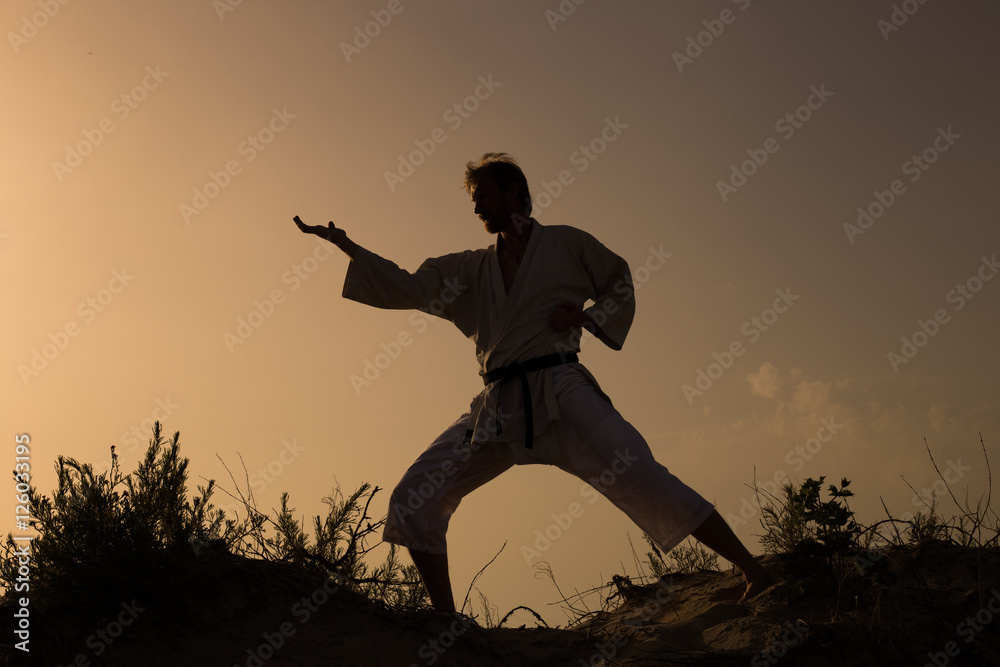 Adult man practicing a Kata and kick on the beach