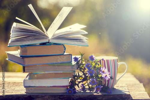 books on natural background.
