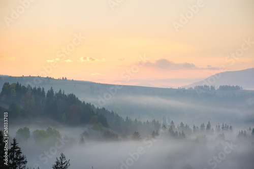 Morning in the mountains.