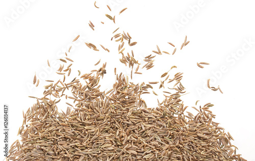 Caraway isolated on white background