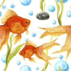Wandcirkels Goudvis patronen Aquarium aquarel met goudvissen en algen  © yuliya_derbisheva