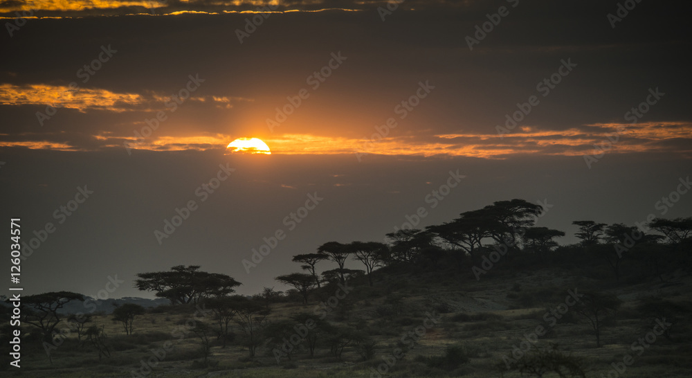 Sunrise, Ndutu