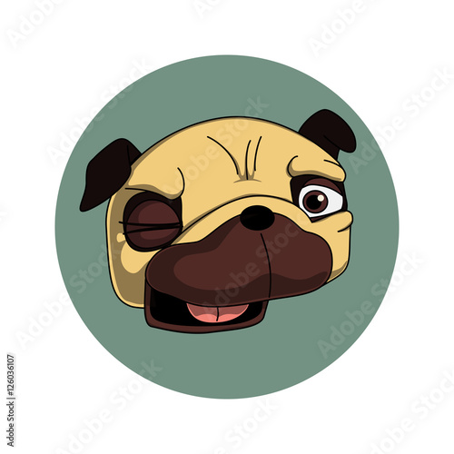Winking pug