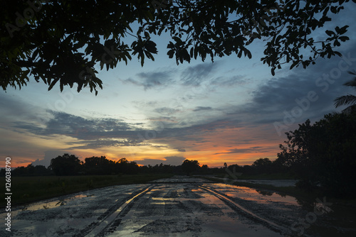 Εκτύπωση καμβά Thailand paddy field with sunset