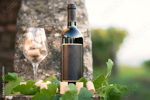 Εκτύπωση καμβά Red wine bottle, glass, young vine leaves against soft background, Italy