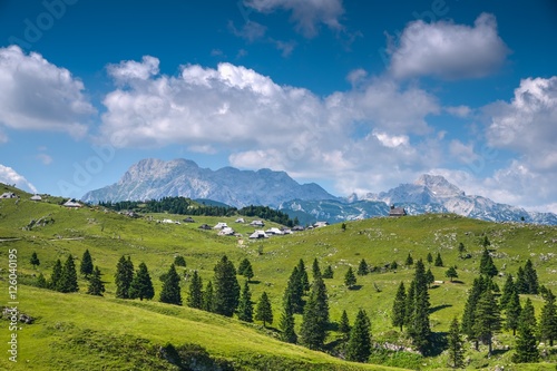 Velika Planina Alpine Meadow © zkbld