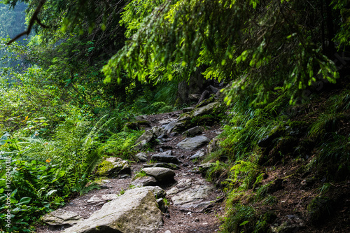 Path in the mountain