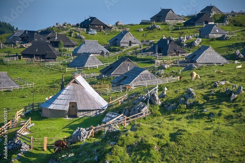 Velika Planina Alpine Meadow