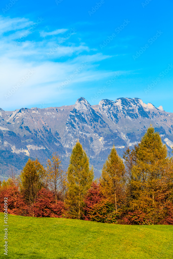 mountain autumn landscape. Colorful autumn landscape.  mountains