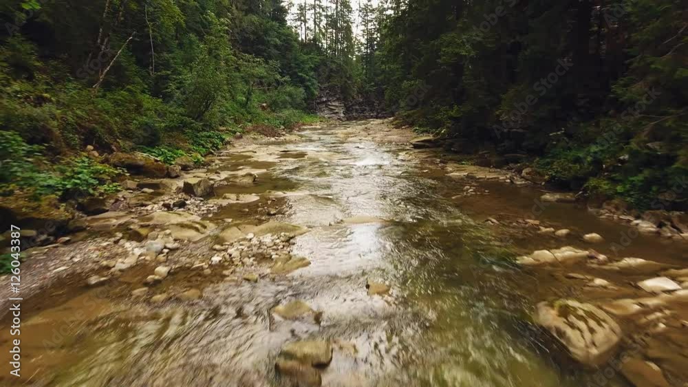 Shot mountain forest with river Shot mountain forest with river