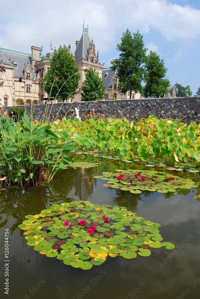 Fototapeta premium Reflections in water lily ponds filled with aquatic plants