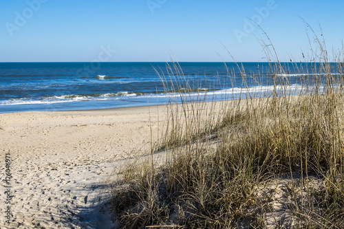 Sandbridge Beach in Virginia Beach, Virginia with beach grass, ocean and waves. 
