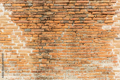 brick wall texture or brick wall background on day noon light fo