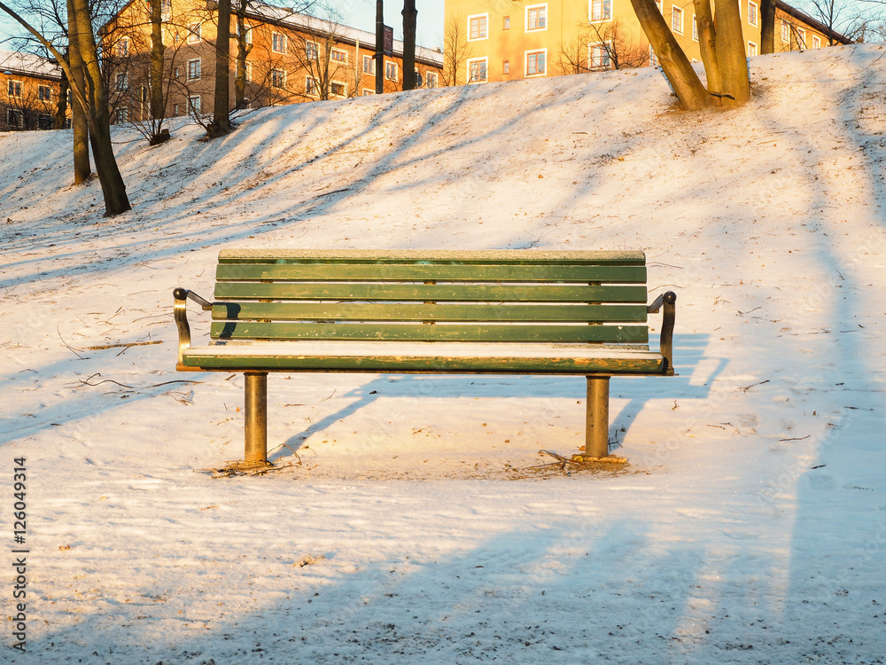 Green bench in the park with snow
