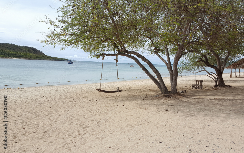 Wooden swing under the tree and on the beach
