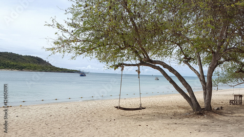 Wooden swing under the tree and on the beach