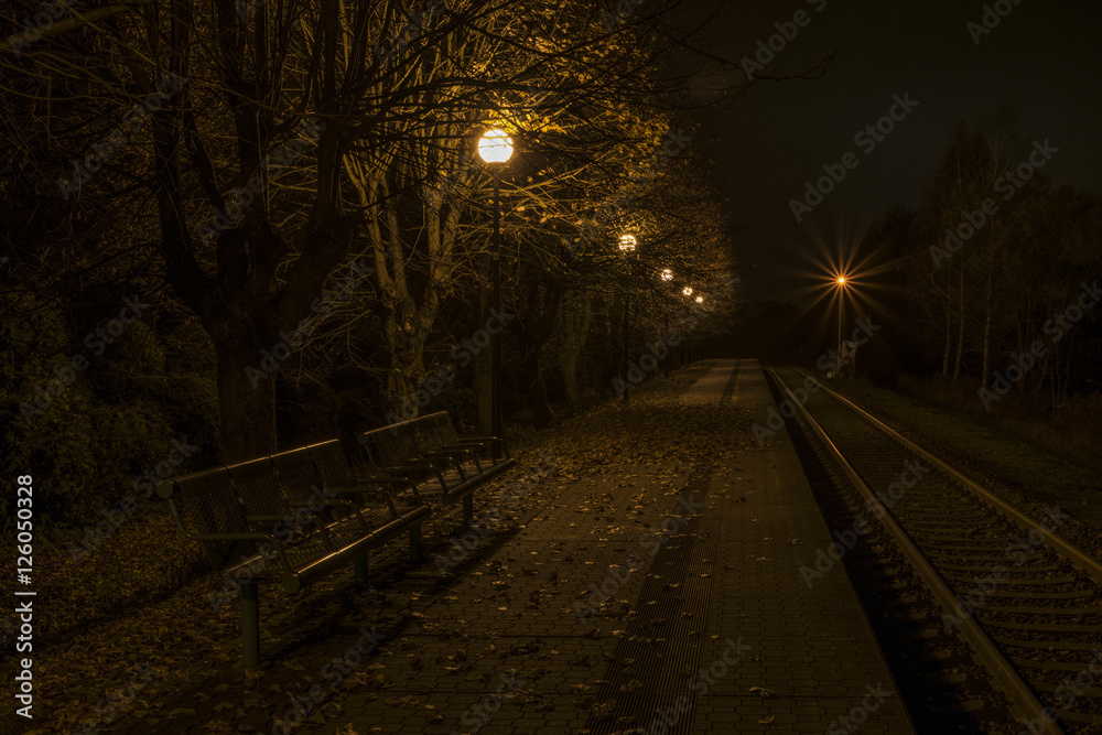 Trebon station in autumn night