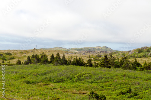 Landscape in sunny day in Newfoundland