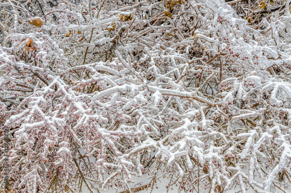 Freezing rain Freezing rain