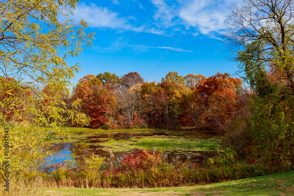 Fototapeta premium Autumn Landscape. The bright colors in the lake.