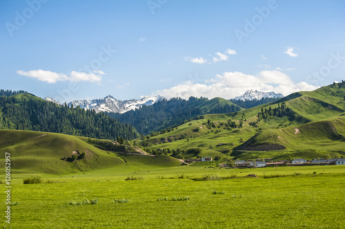 Scenery of grassland