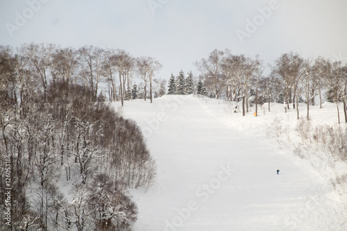 Mountain snow hokkaido, Japan.