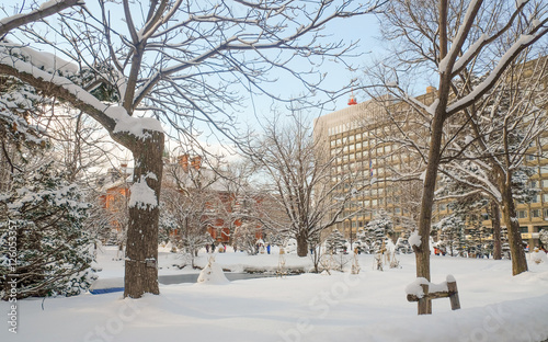 winter,Hokkaido,Japan.