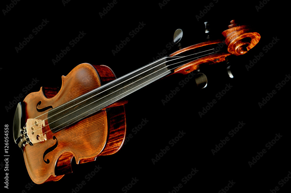 Fototapeta premium Violin