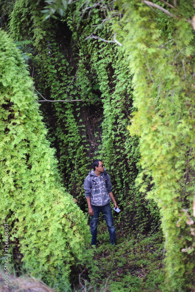 Man and Green Wetland Forest in Rayong at Thailand