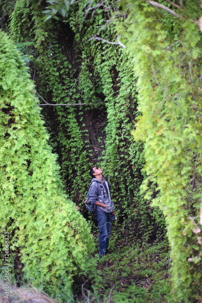 Man and Green Wetland Forest in Rayong at Thailand