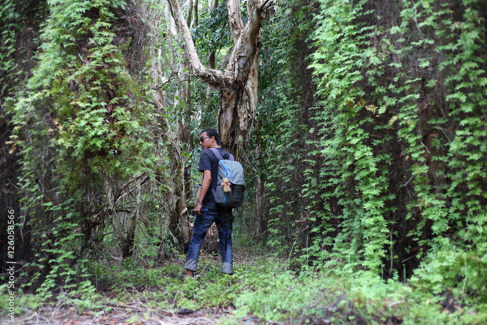 Man and Green Wetland Forest in Rayong at Thailand