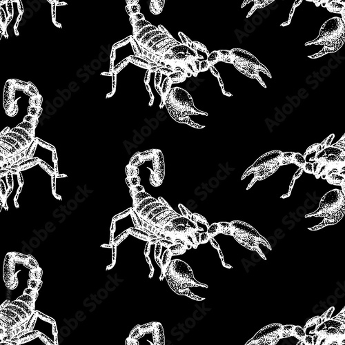 Hand drawn seamless pattern with scorpion. Background design.