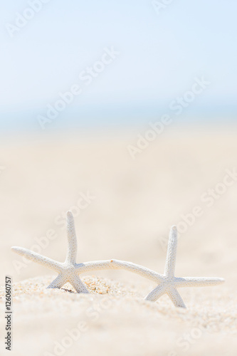 Fototapeta Naklejka Na Ścianę i Meble -  starfish at the beach