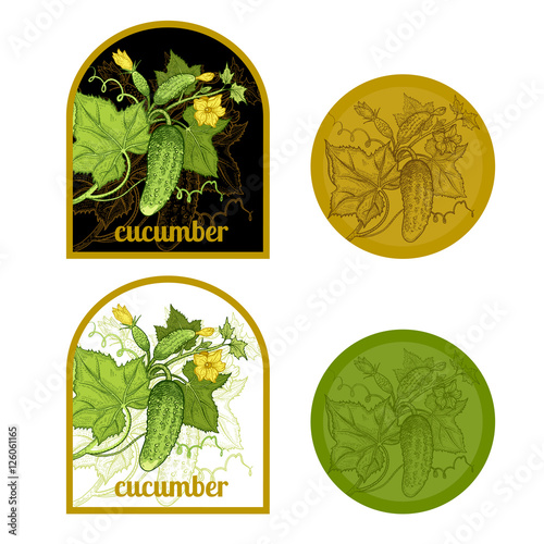 Set of labels with the image of a cucumber.