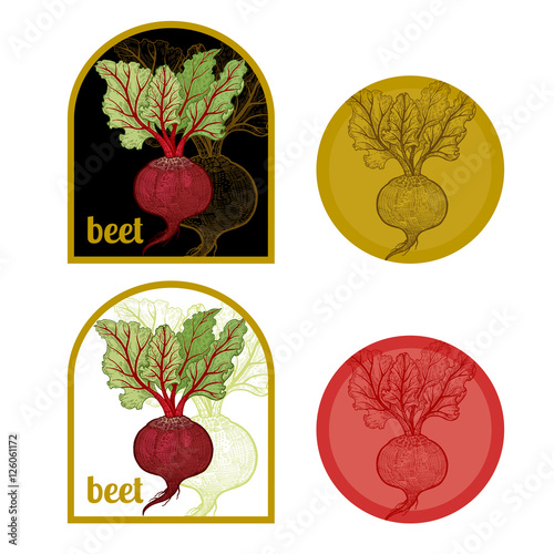 Set of labels with a picture of beet.