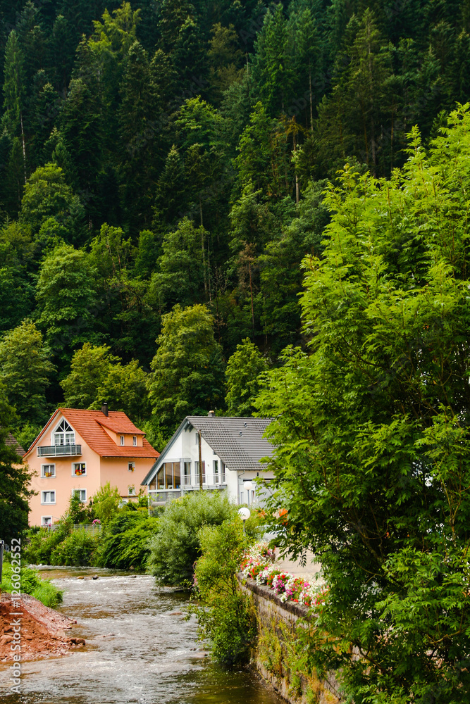 two houses by the river surrounded by forest, black forest, Germany