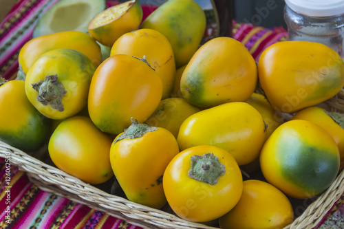 Cocona. This exquisite fruit abounds in the jungle regions. (Solanum sessiliflorum). photo