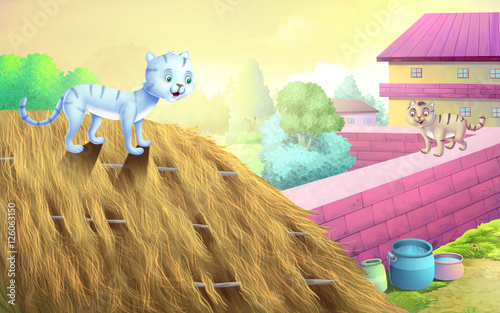 The tale of the two cat sto...